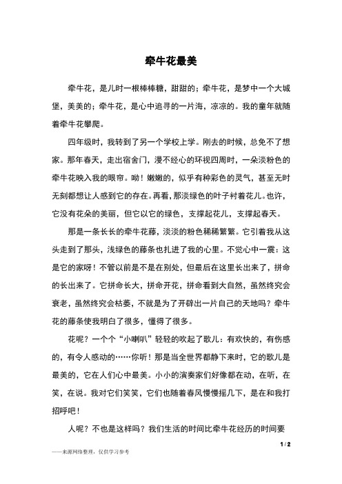 牵牛花最美_初一作文