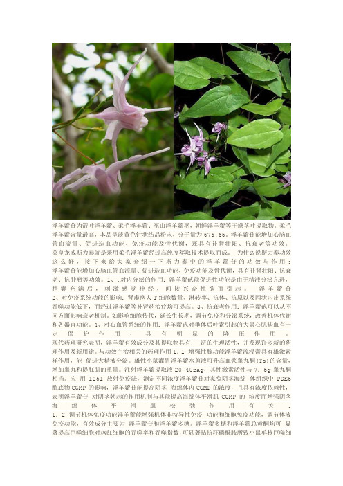 斯力泰之淫羊藿苷