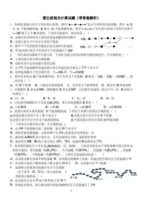 蛋白质相关计算试题(带解析)