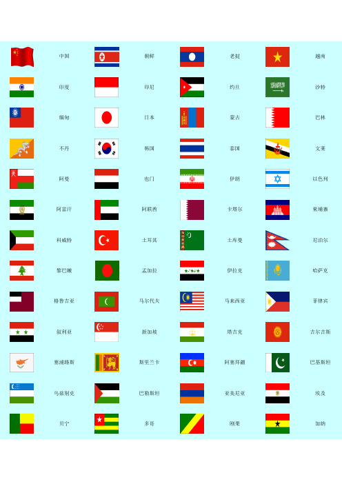 国家名字+旗标