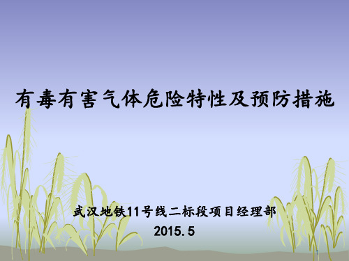 有毒有害气体的危害及预防措施(课堂PPT)