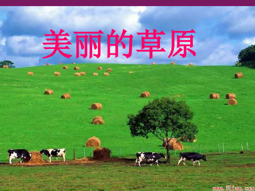 部编小学音乐六年级《天堂》杨福霞PPT课件 一等奖新名师优质公开课获奖比赛人教