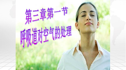 人教版生物七下第三章第一节呼吸道对空气的处理课件(共31张PPT)