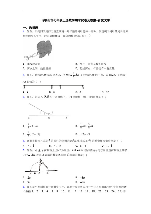 马鞍山市七年级上册数学期末试卷及答案-百度文库