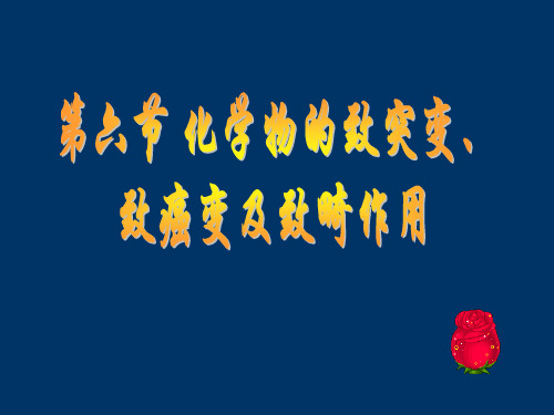 化学物的致突变致癌变及致畸作用ppt课件