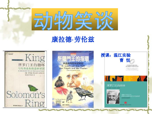 七年级语文19动物笑谈优秀课件