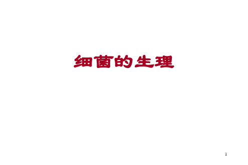 细菌生理ppt课件
