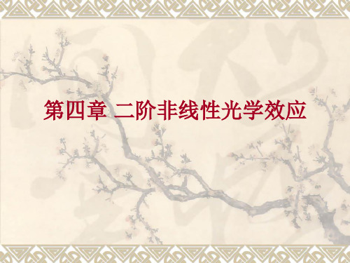 第四章 光学三波耦合过程