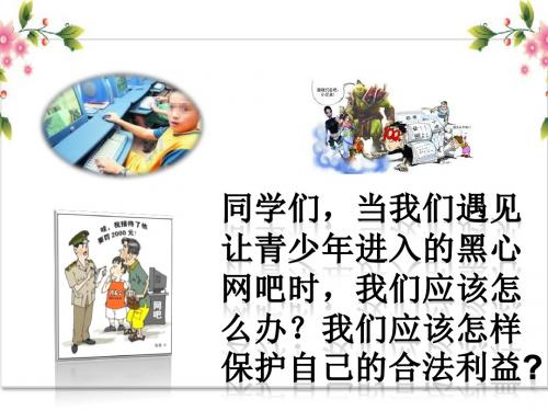 人教版 道德和法治八年级上 2.2合理利用网络 课件  (共24张PPT)