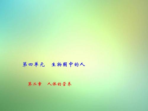 中考生物第二章人体的营养复习课件