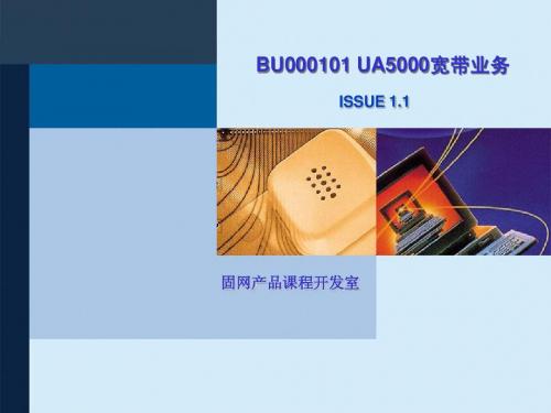 UA5000宽带业务ISSUE1.1