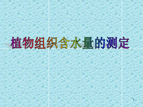 植物相对含水量的测定