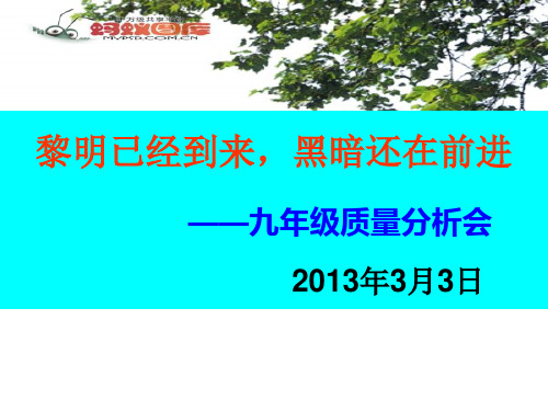 2013届九年级期末质量分析
