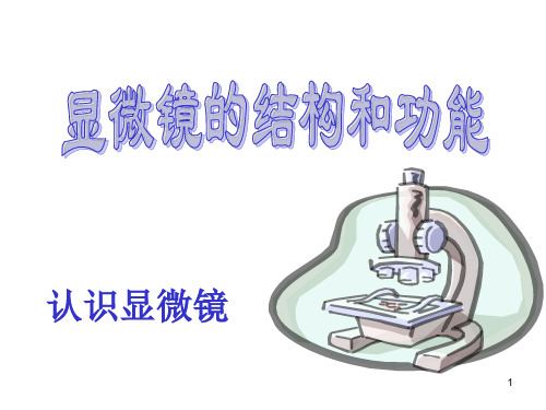2显微镜的结构及使用PPT演示课件
