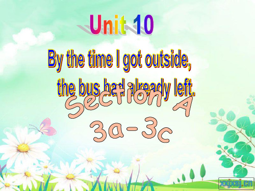 新目标九年级英语Unit10 Section A (3a-3c)课件