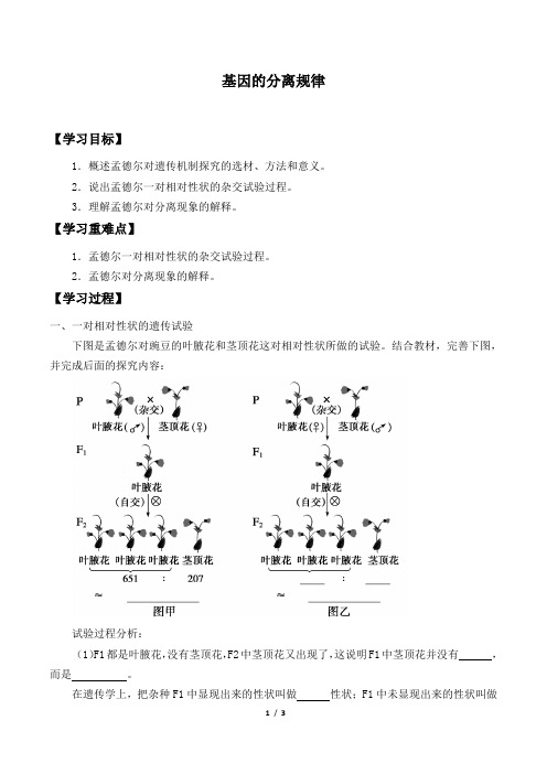 北师大版生物必修2：4.1 基因的分离规律  学案2