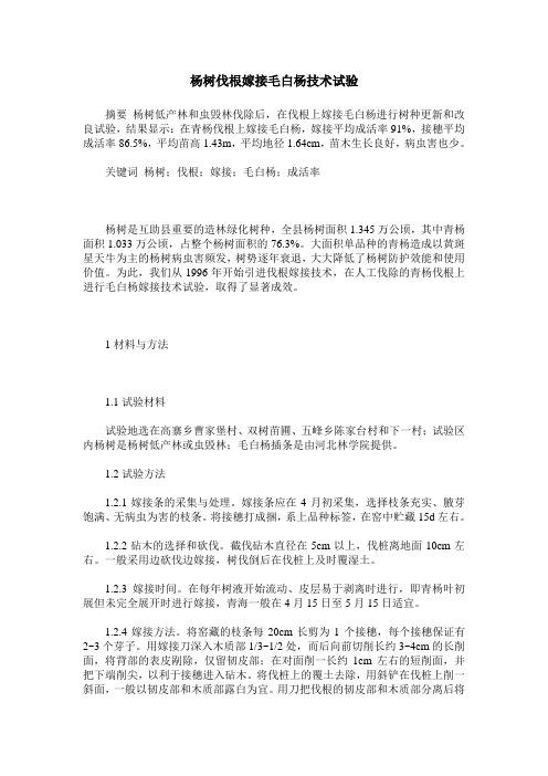 杨树伐根嫁接毛白杨技术试验