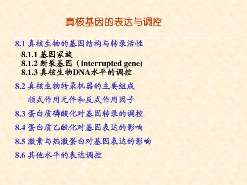 真核基因表达调控