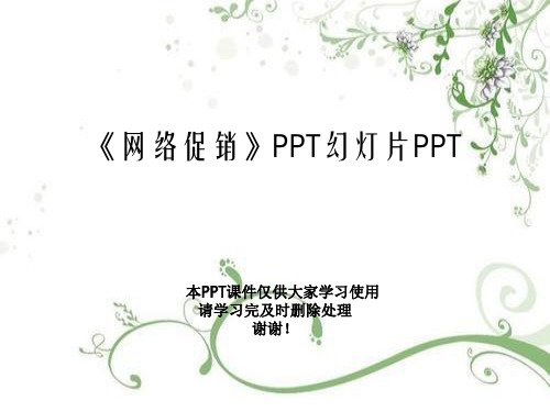 《网络促销》PPT幻灯片PPT