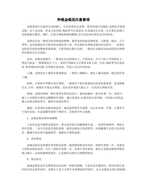 种植金银花注意事项