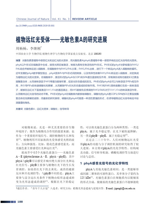 植物远红光受体——光敏色素A的研究进展