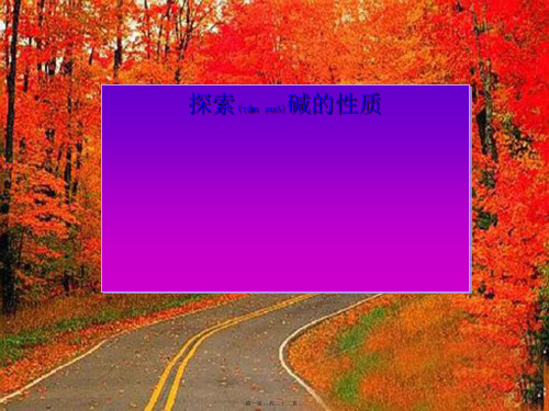 九年级科学上册《 探索碱的性质》课件
