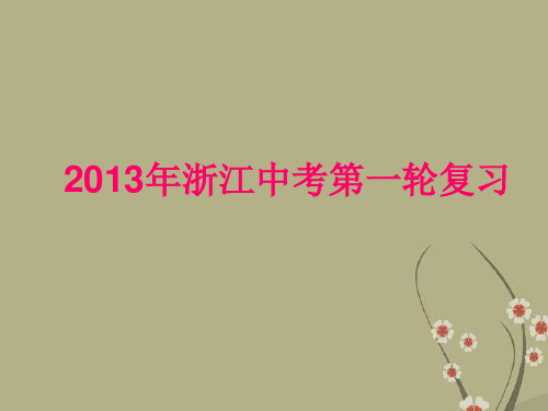 中考物理复习专题 第十一章 功和机械能课件 浙教版