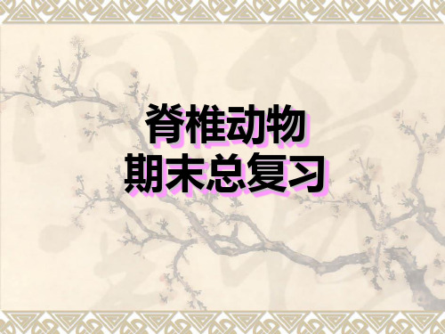 脊椎动物总复习
