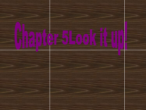 英语Chapter5《Lookitup》课件上海牛津版(共17张PPT)