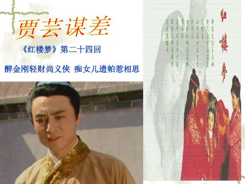 贾芸谋差 (1)