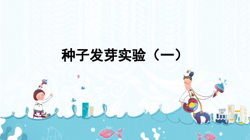 五年级科学上册《种子发芽实验(一)》PPT课件