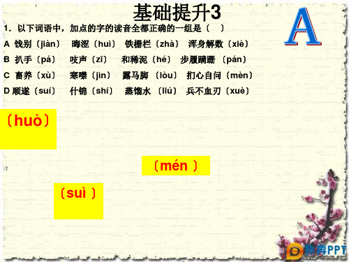 高考语文基础知识题整理ppt课件(1-8)3