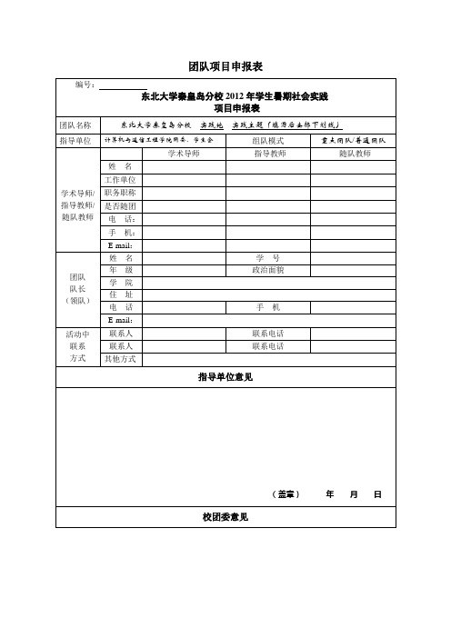 附三暑期社会实践团队项目申报表