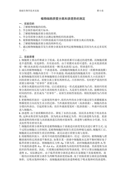 洋葱细胞质壁分离 曹小弟