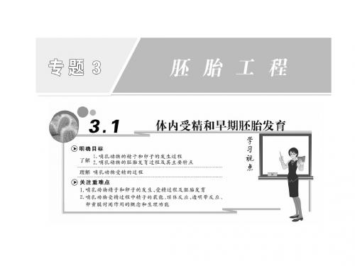 高中生物人教版选修三配套课件 专题3 -3.1体内受精和早期胚胎发育