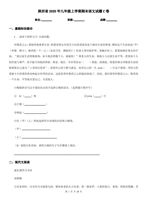 陕西省2020年九年级上学期期末语文试题C卷