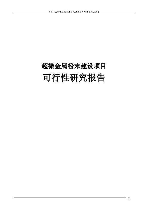 超微金属粉末建设项目可行性研究报告