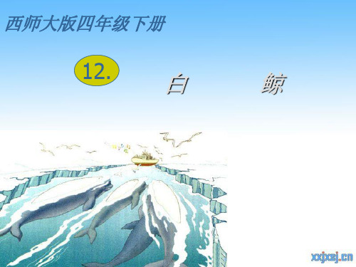 西南师大版四年级语文下册《三单元  12 白鲸》课件_26