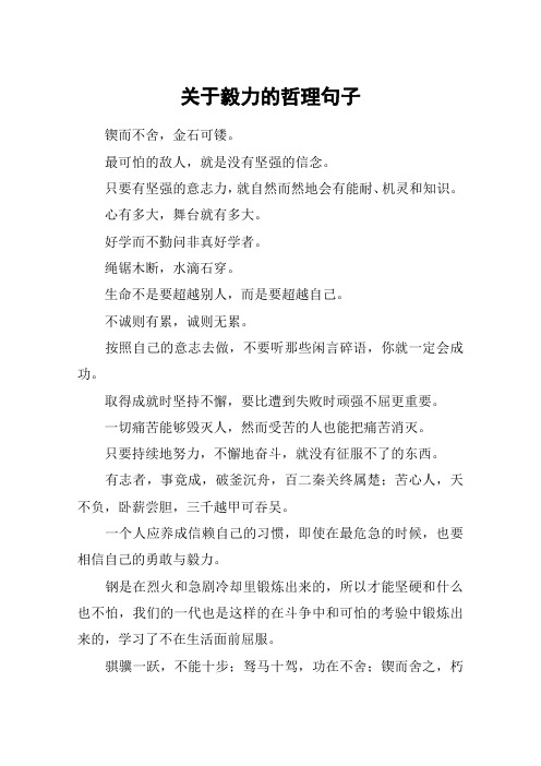 关于毅力的哲理句子