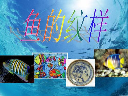 《鱼的纹样》PPT优秀课件2