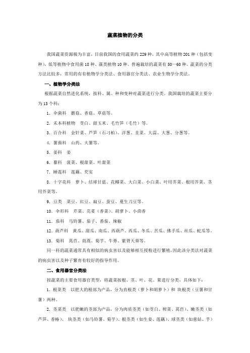 蔬菜植物的分类