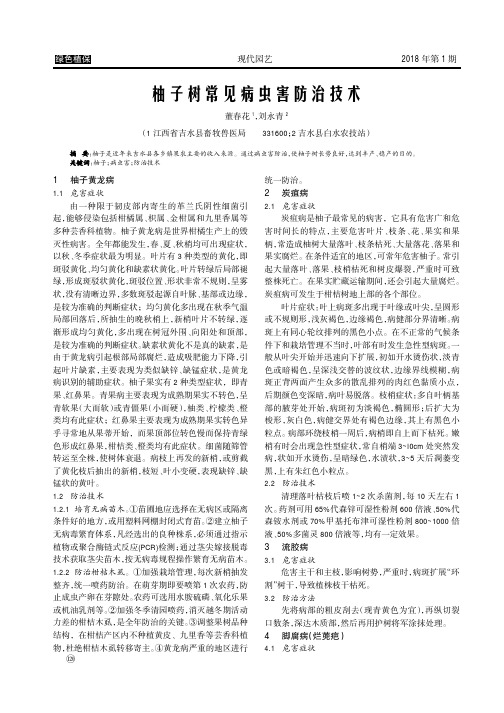 柚子树常见病虫害防治技术