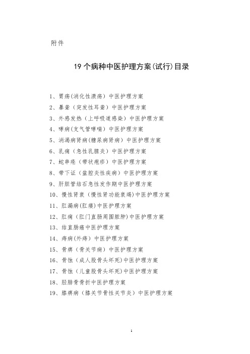19个中医护理方案