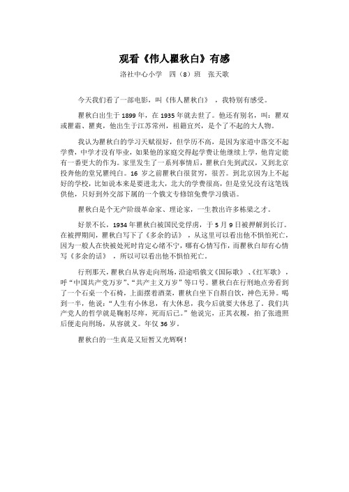 观后感