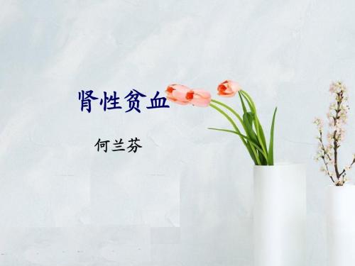肾性贫血