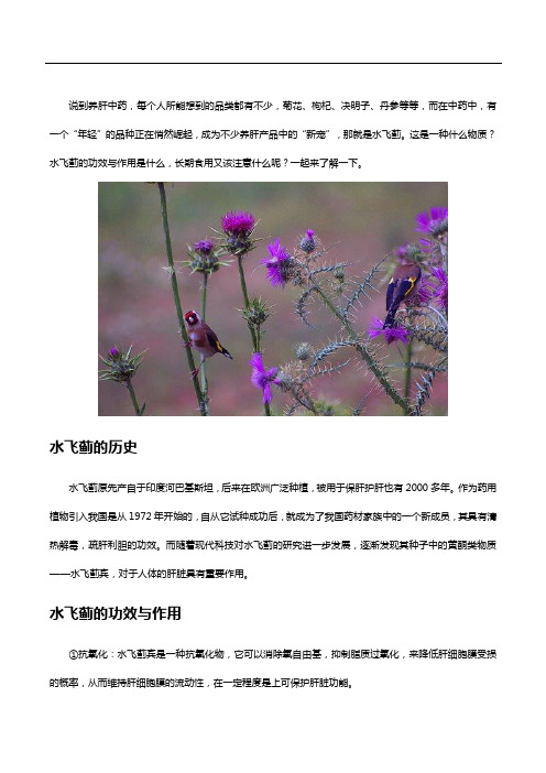 水飞蓟的功效与作用是什么？长期食用需要注意哪些方面？