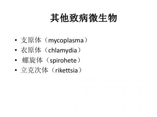 微生物课件 支原体、立克次体、衣原体、螺旋体