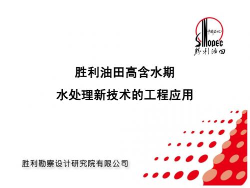 典型项目-胜利油田高含水期水处理新技术的工程应用