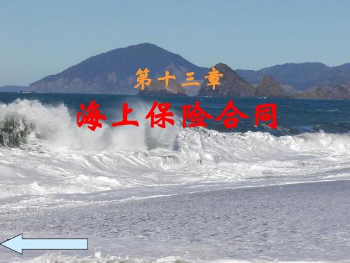 第十三章 海上保险合同