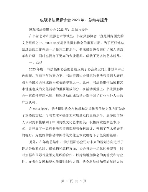 纵观书法摄影协会2023年：总结与提升